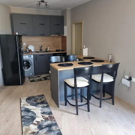 Rumqncev Apartment